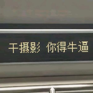 索尼婚礼搬砖工