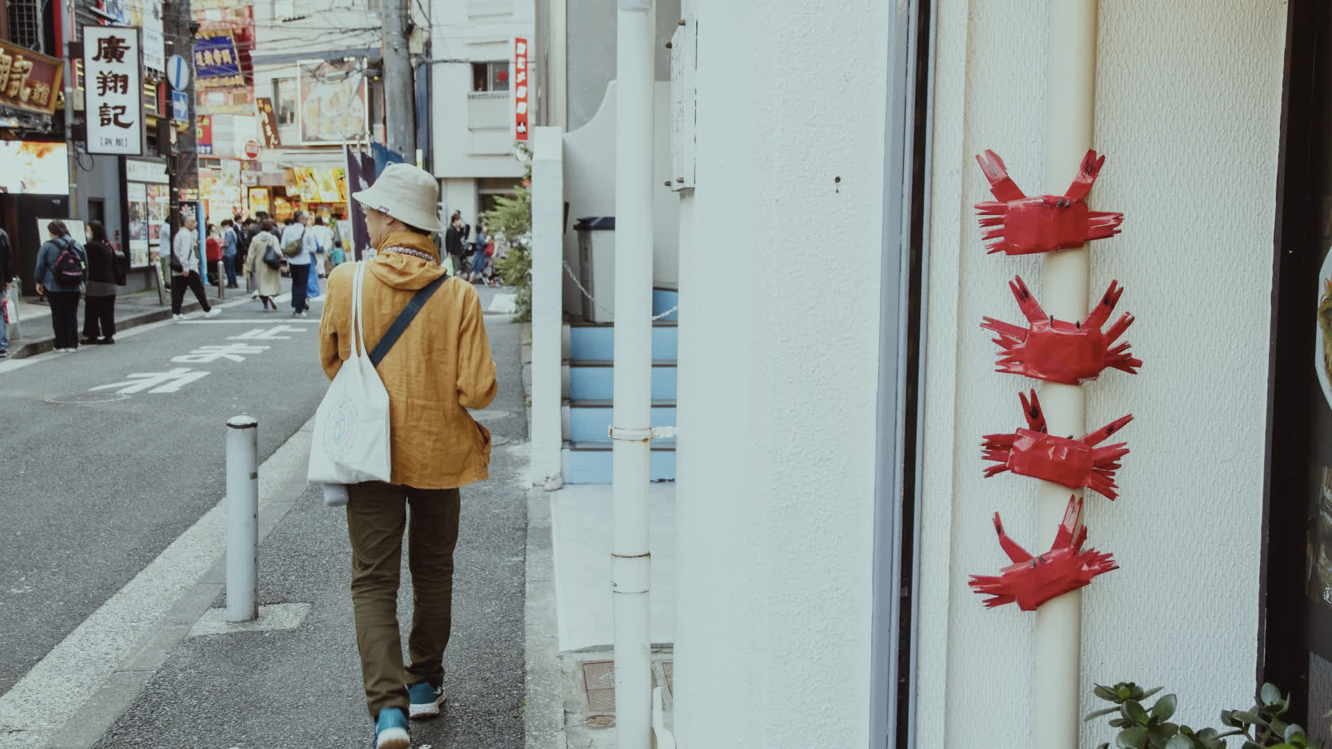 应用 LUT 后预览