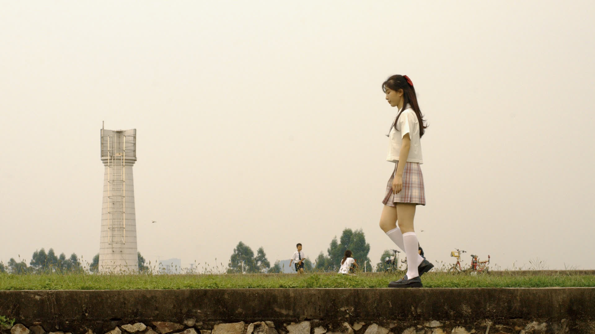 应用 LUT 后预览