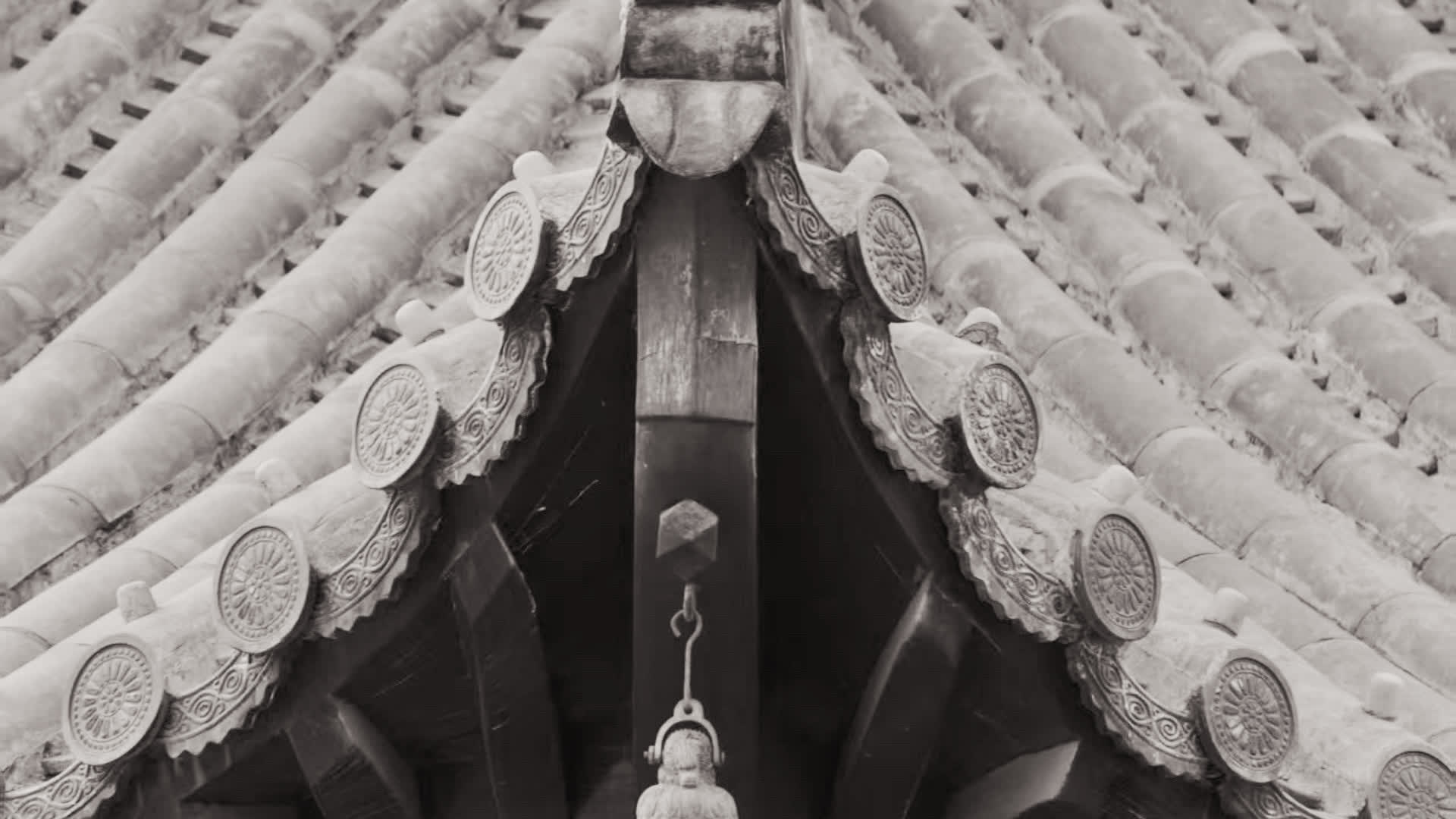 应用 LUT 后预览