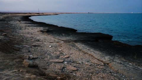 富士Fuji FP-100c 1 --