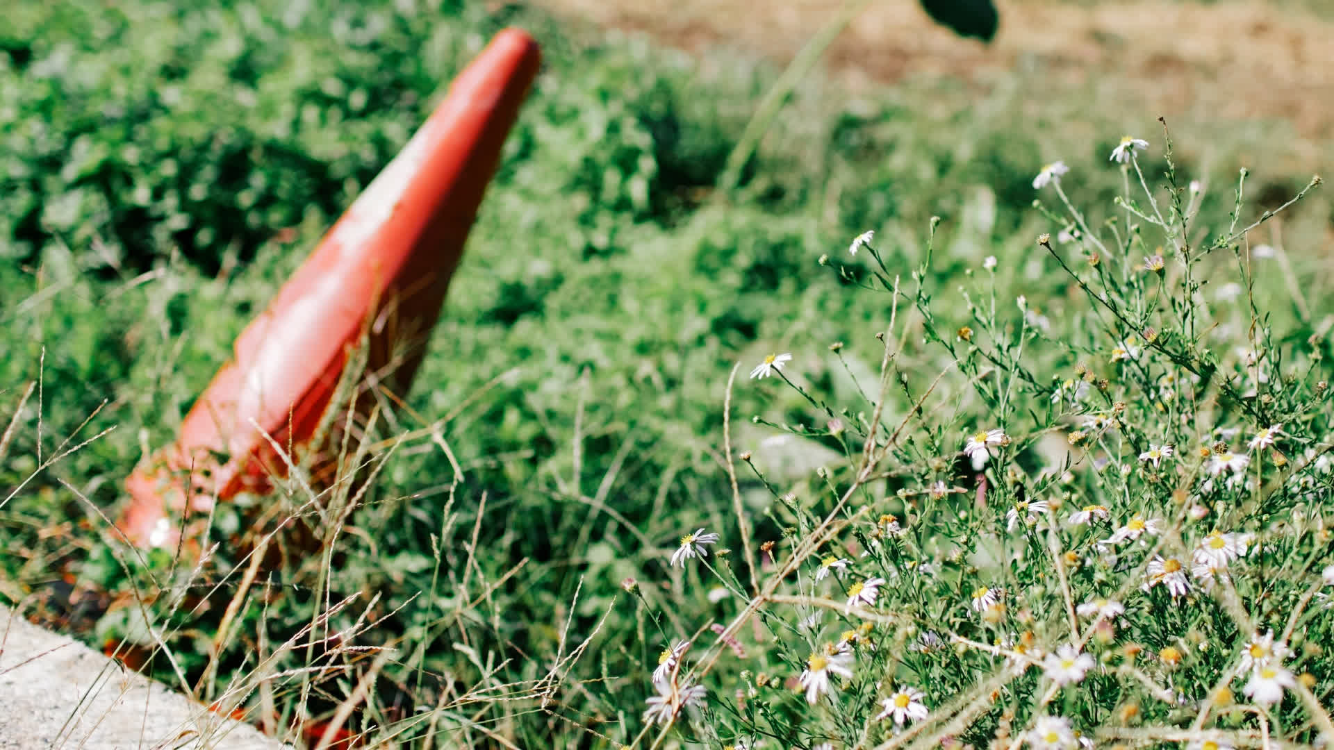 应用 LUT 后预览