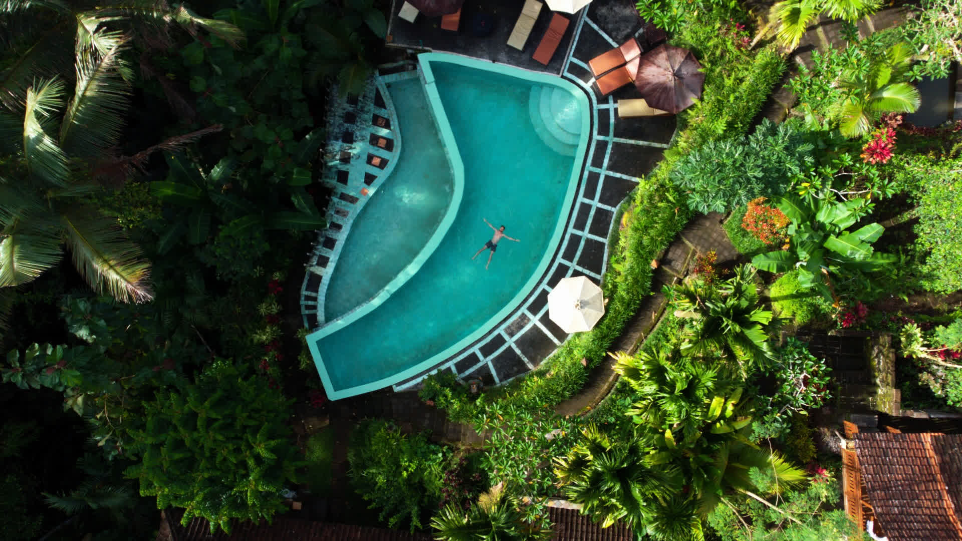 应用 LUT 后预览