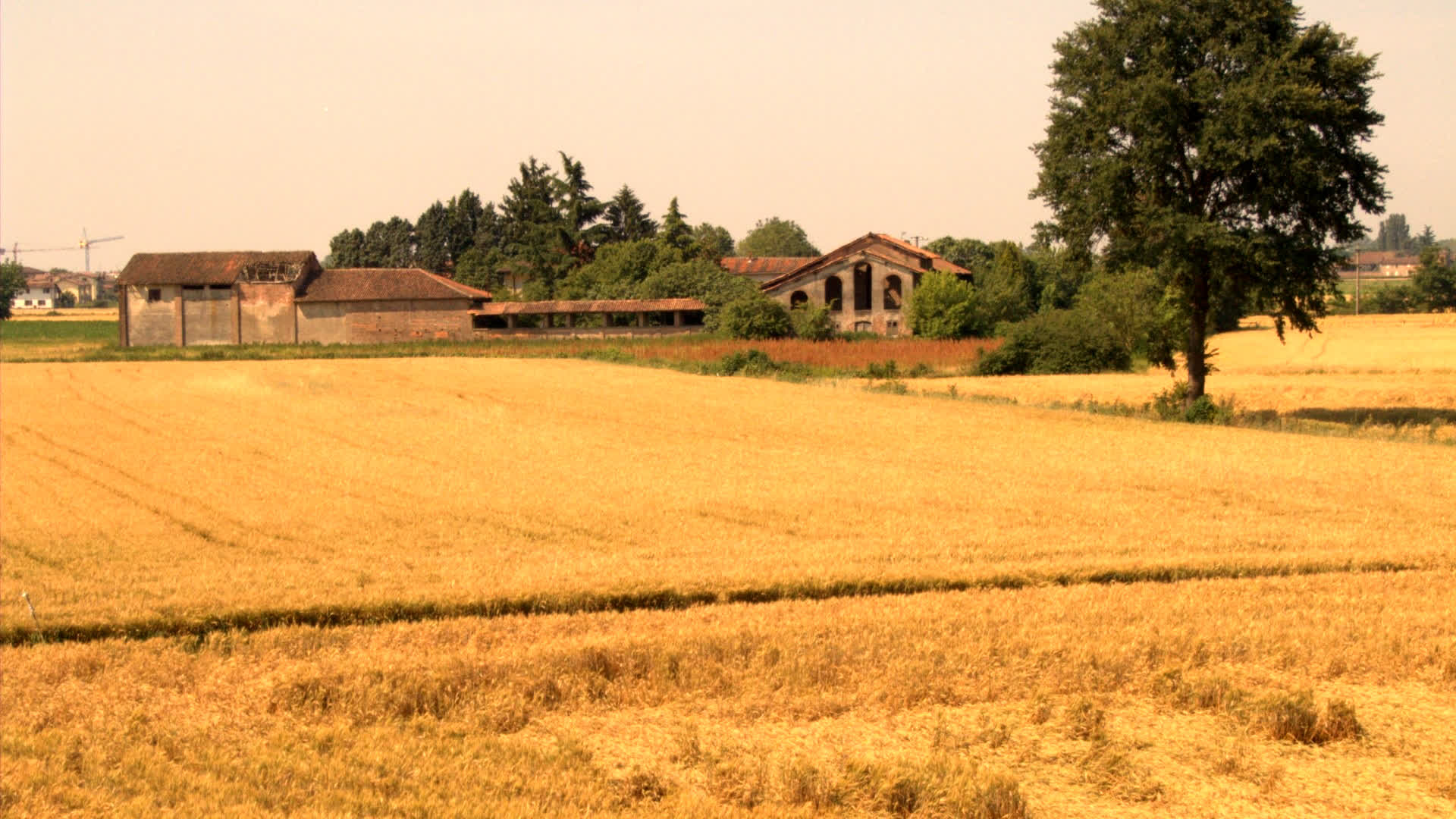 应用 LUT 后预览