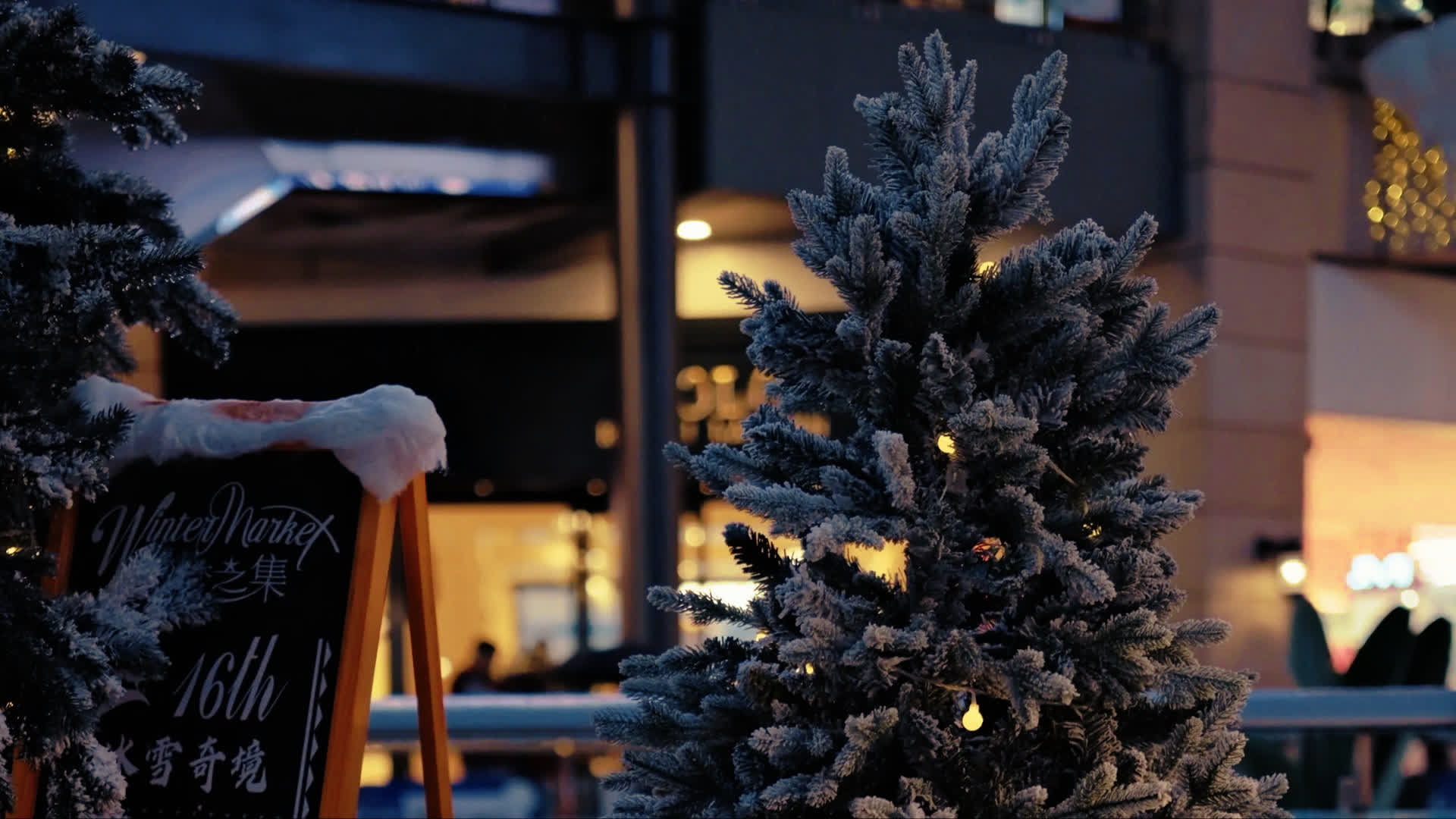 应用 LUT 后预览