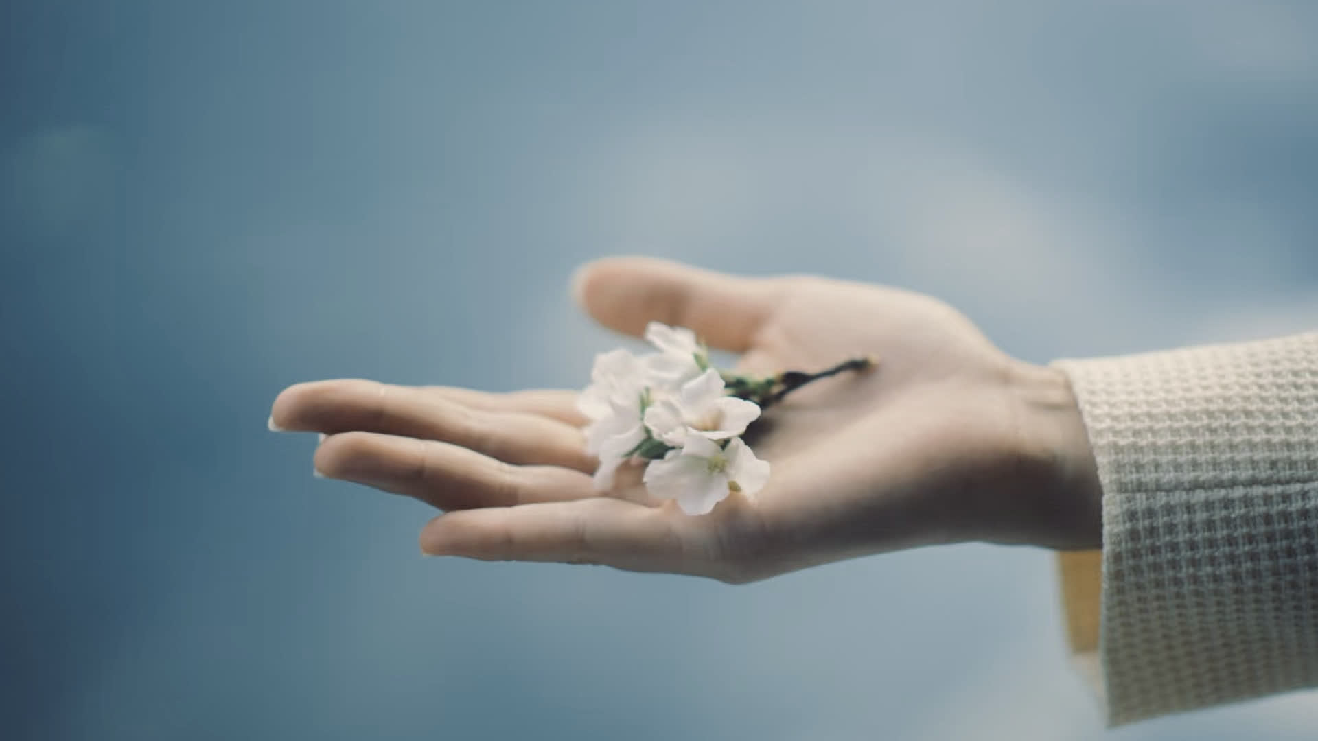 应用 LUT 后预览