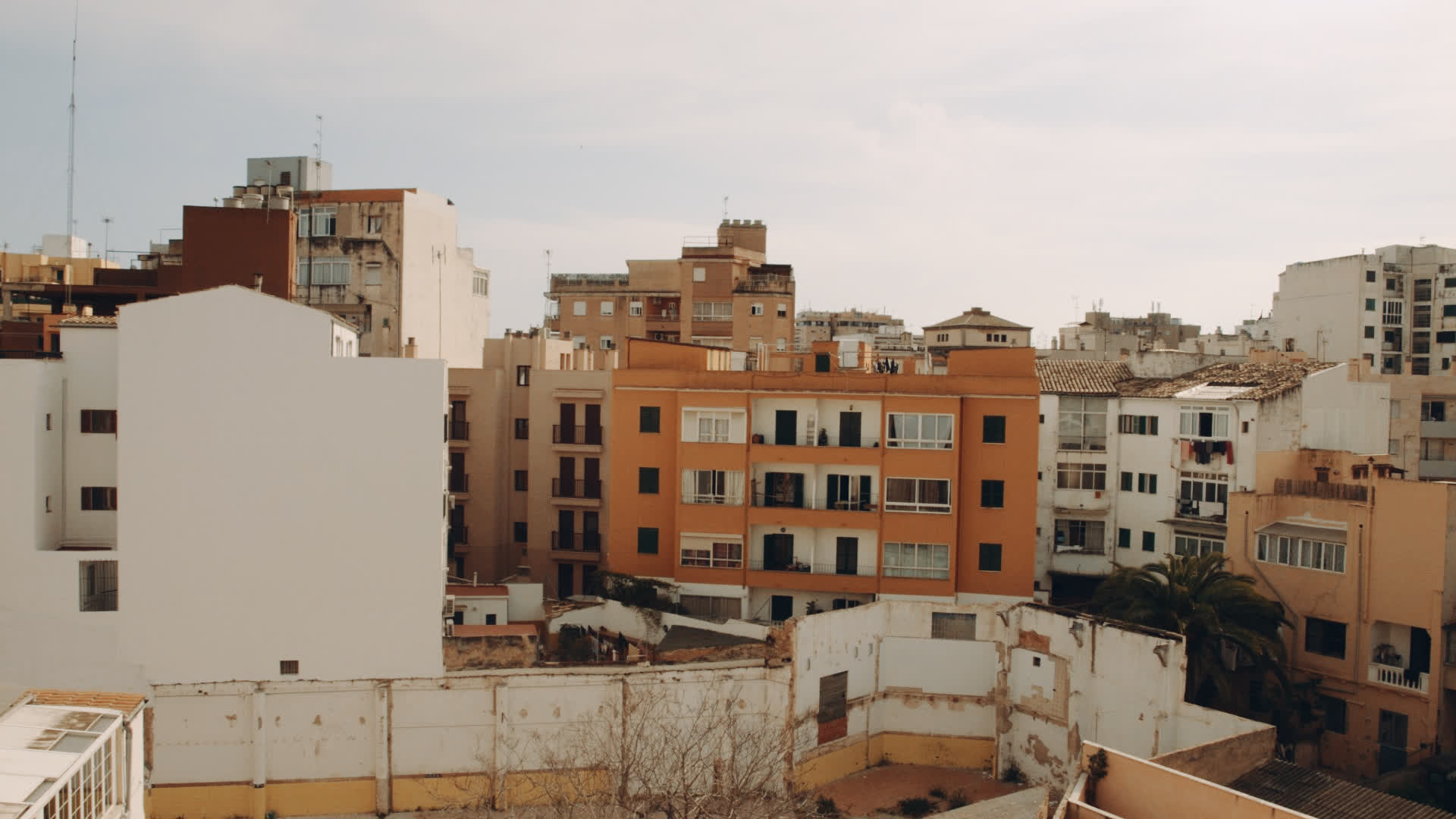 应用 LUT 后预览