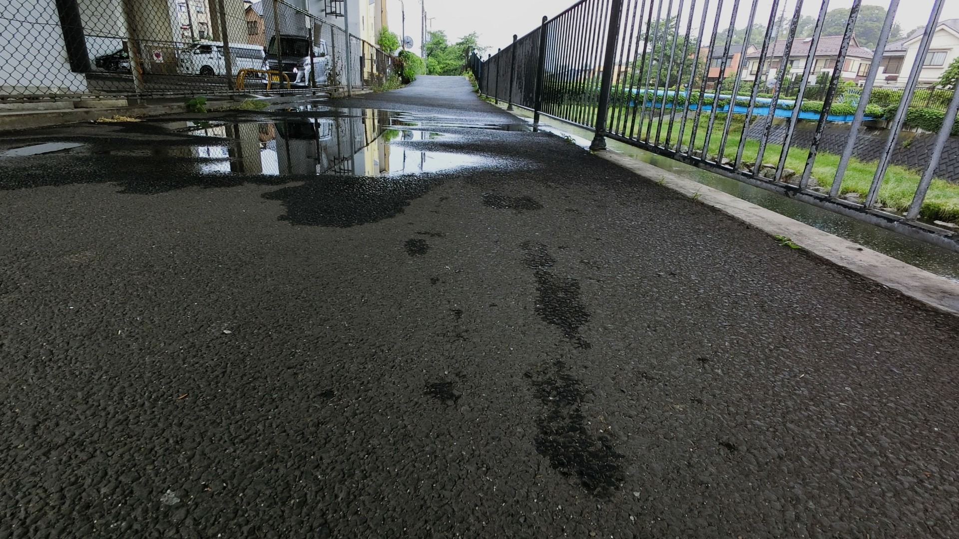 原始预览