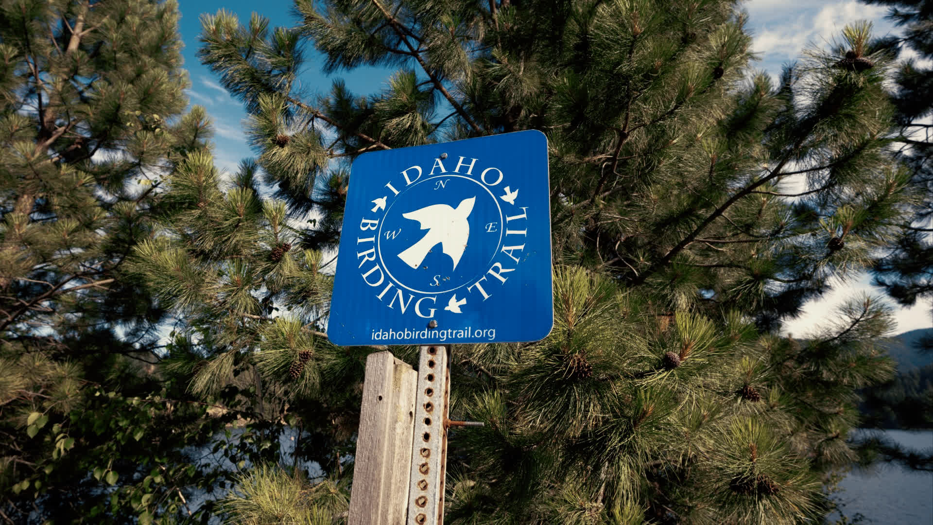 应用 LUT 后预览