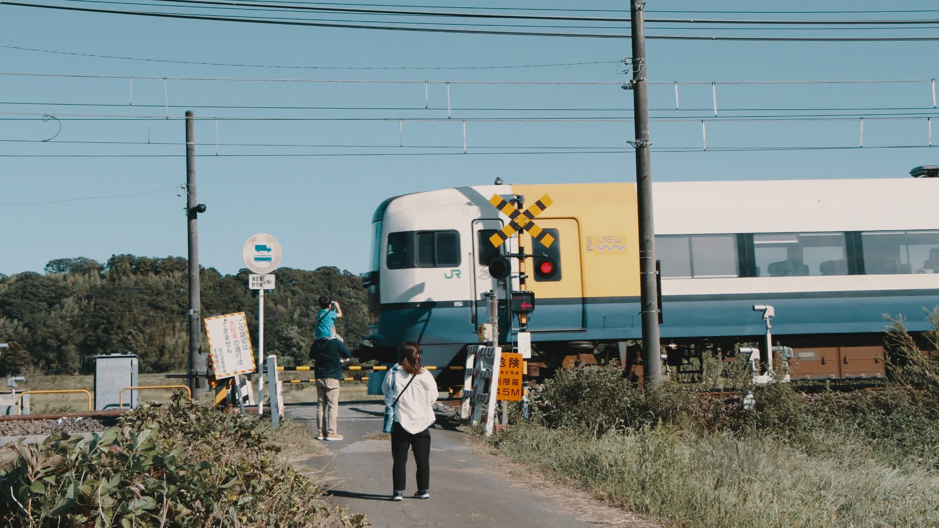 应用 LUT 后预览