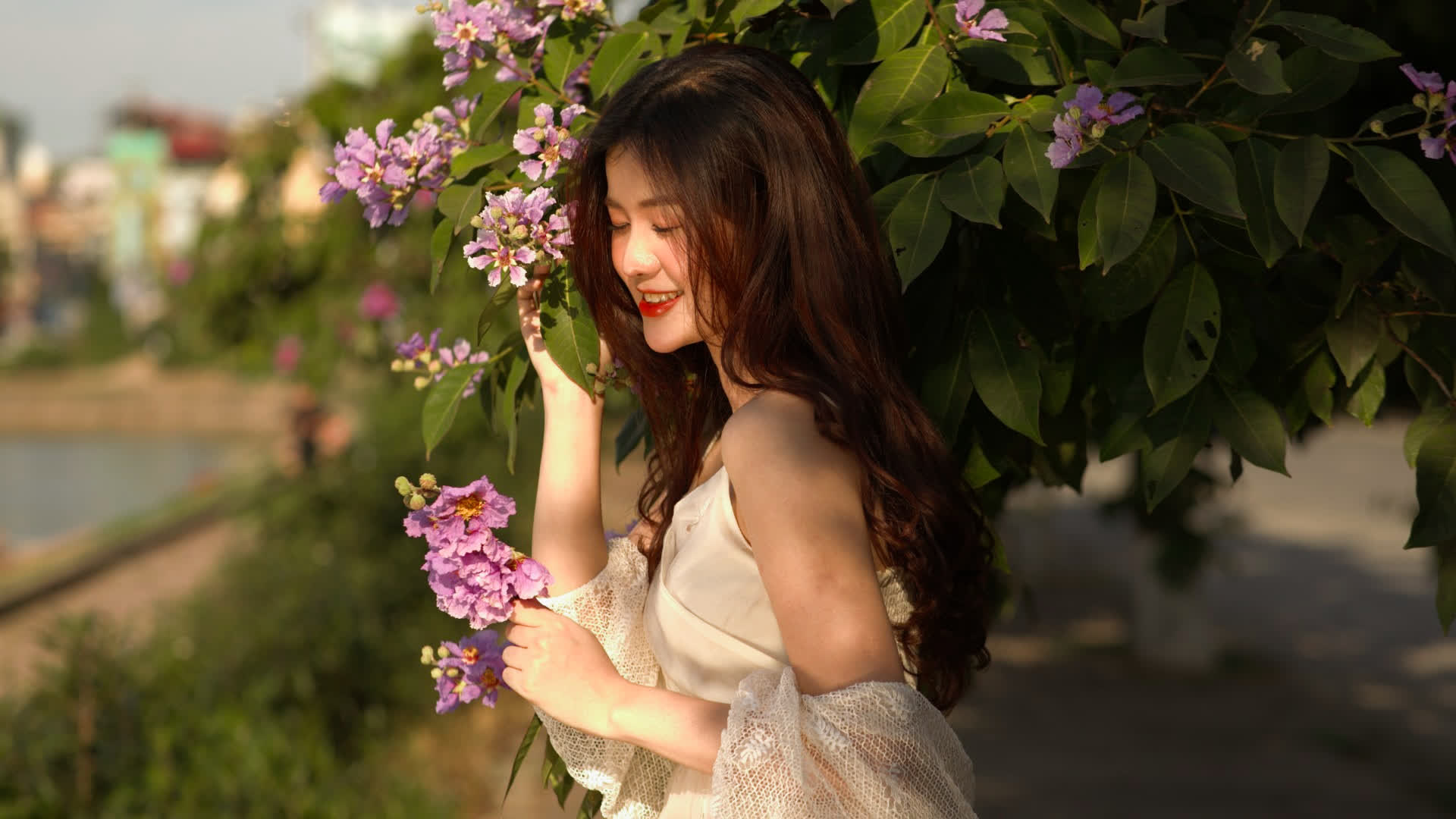 应用 LUT 后预览