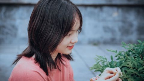 棕影废土质感志