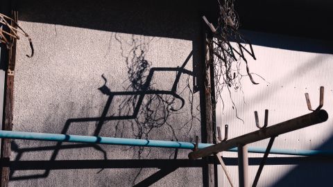 硬核低饱和