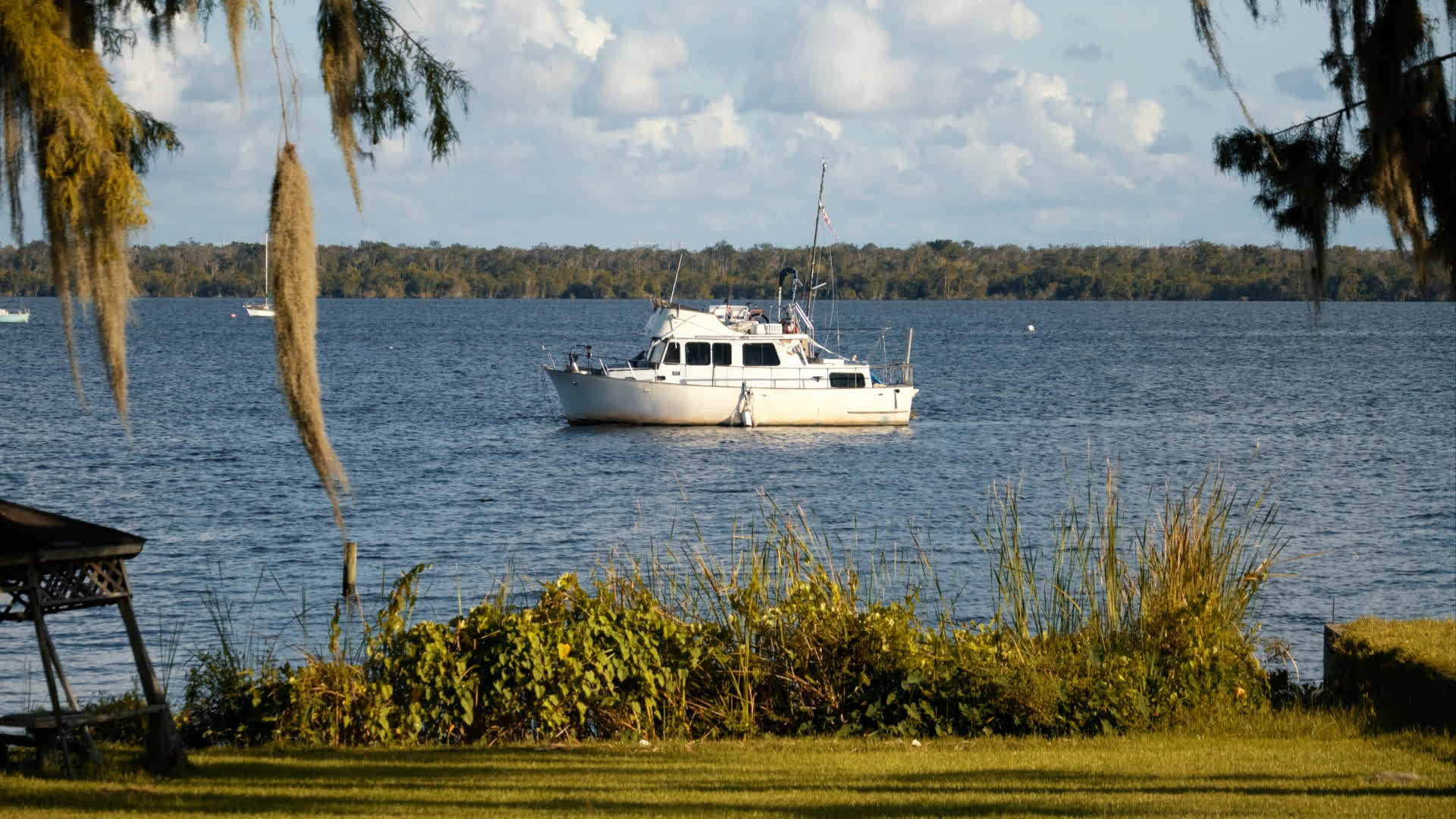 应用 LUT 后预览