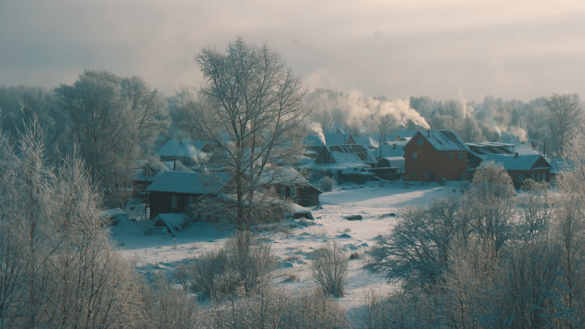 应用 LUT 后预览