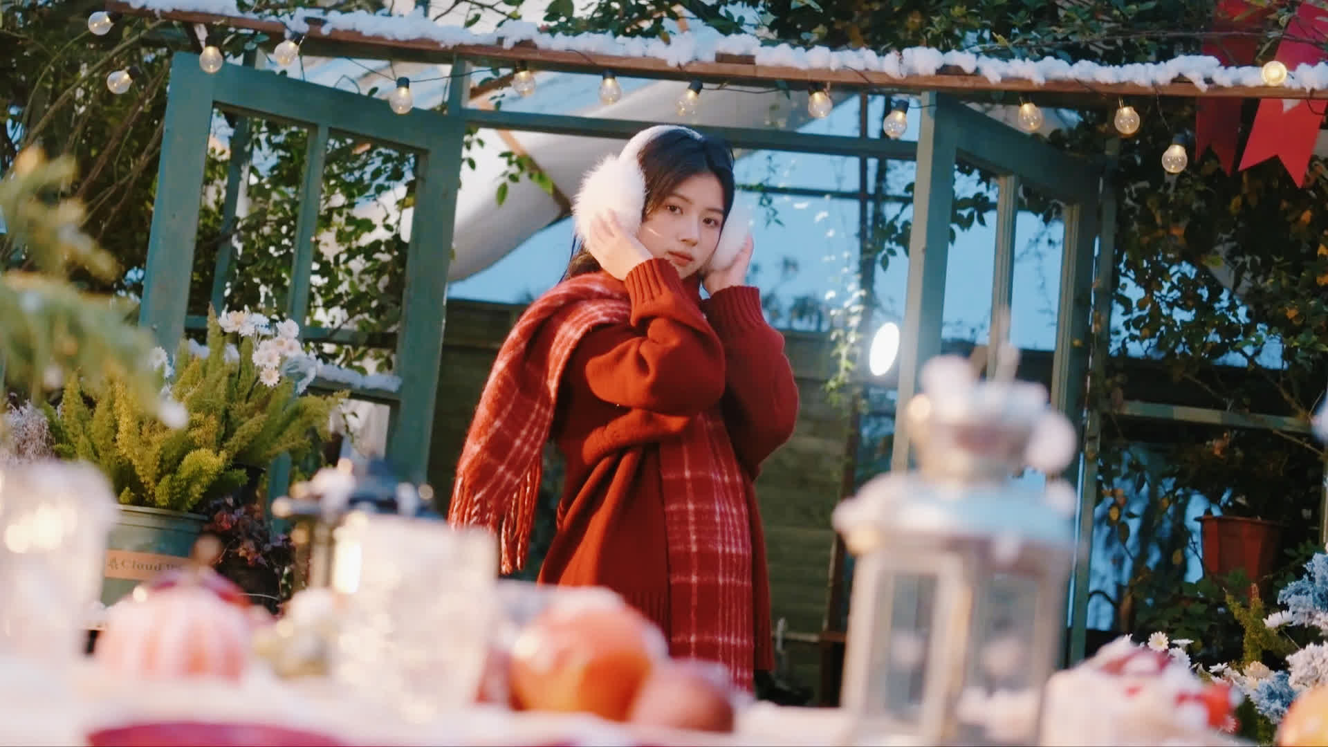 应用 LUT 后预览