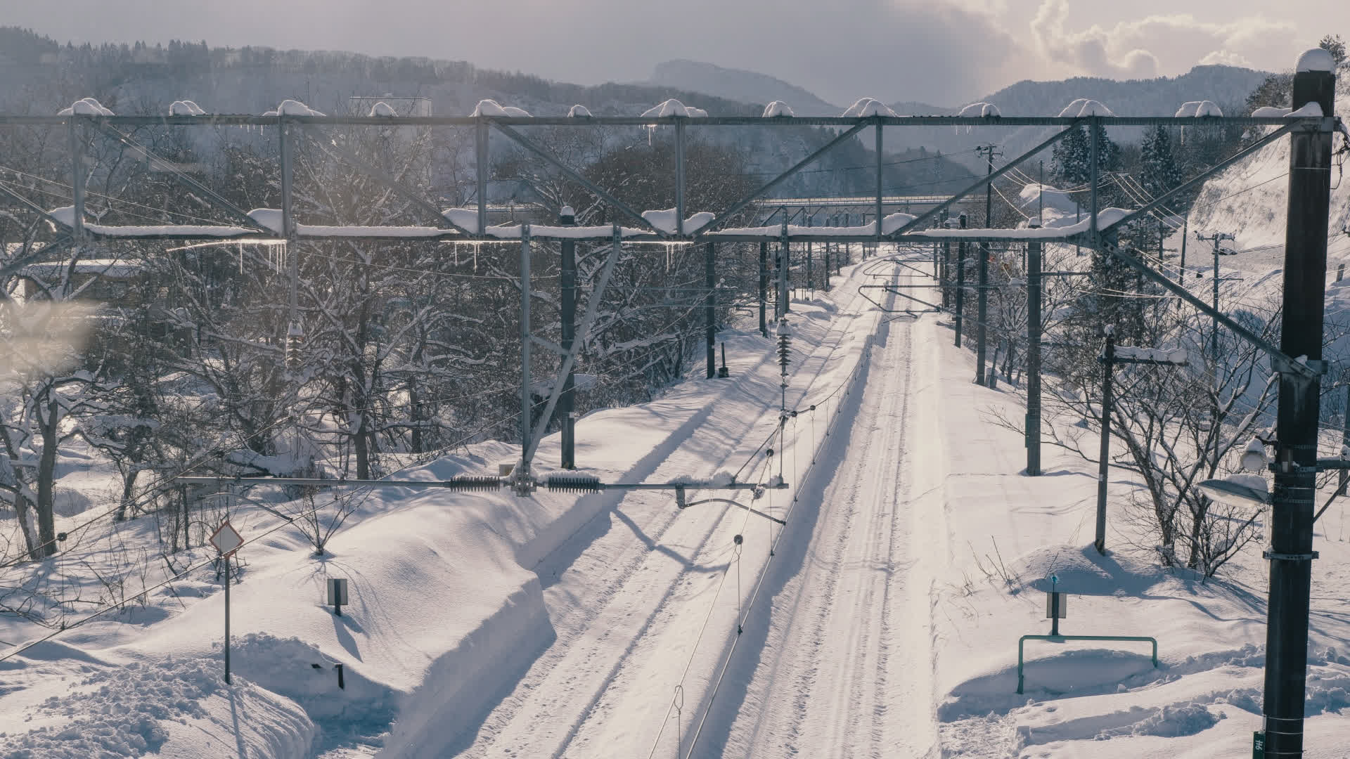 应用 LUT 后预览