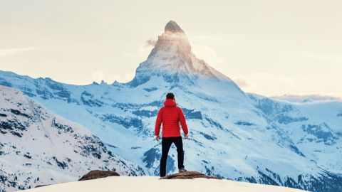 标准对比中性色调