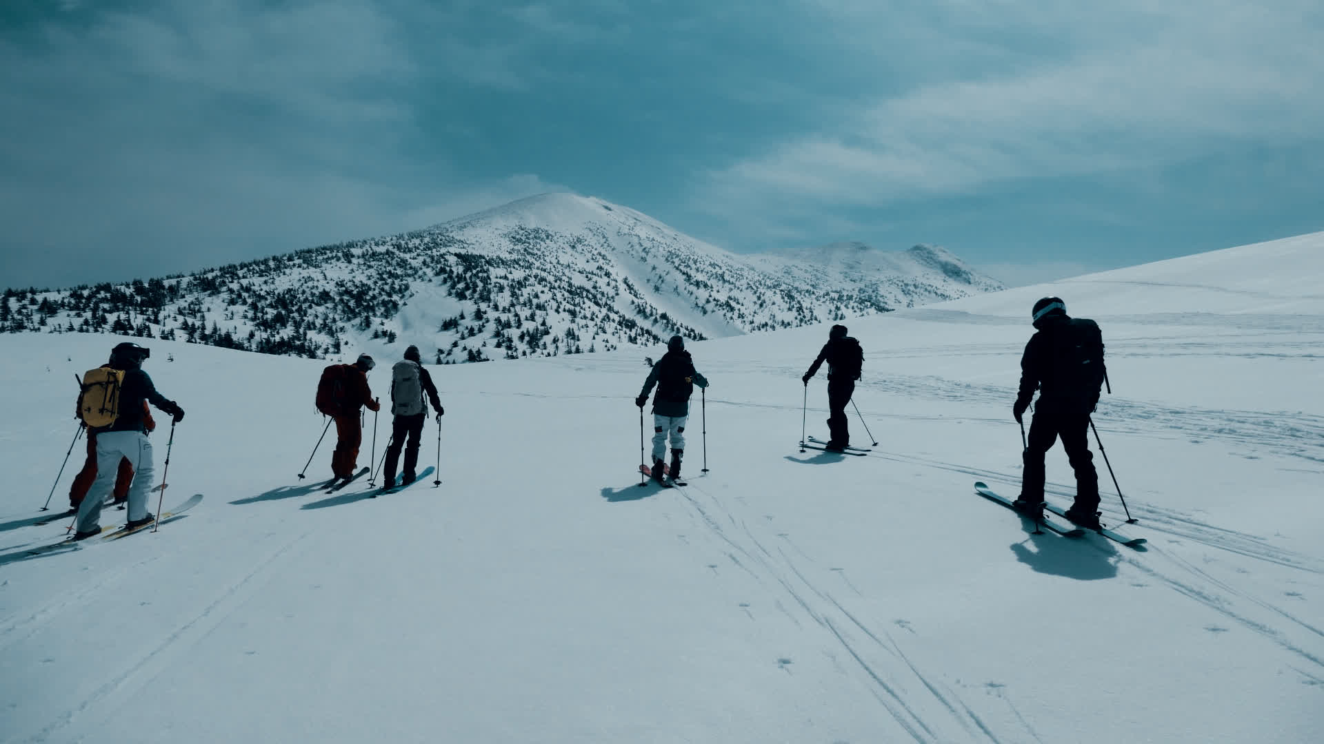 应用 LUT 后预览