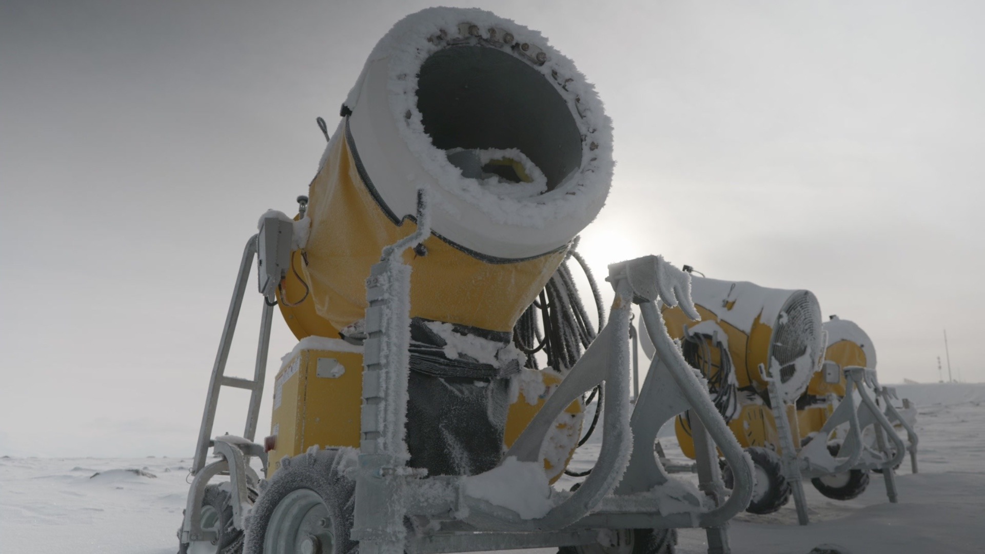 应用 LUT 后预览