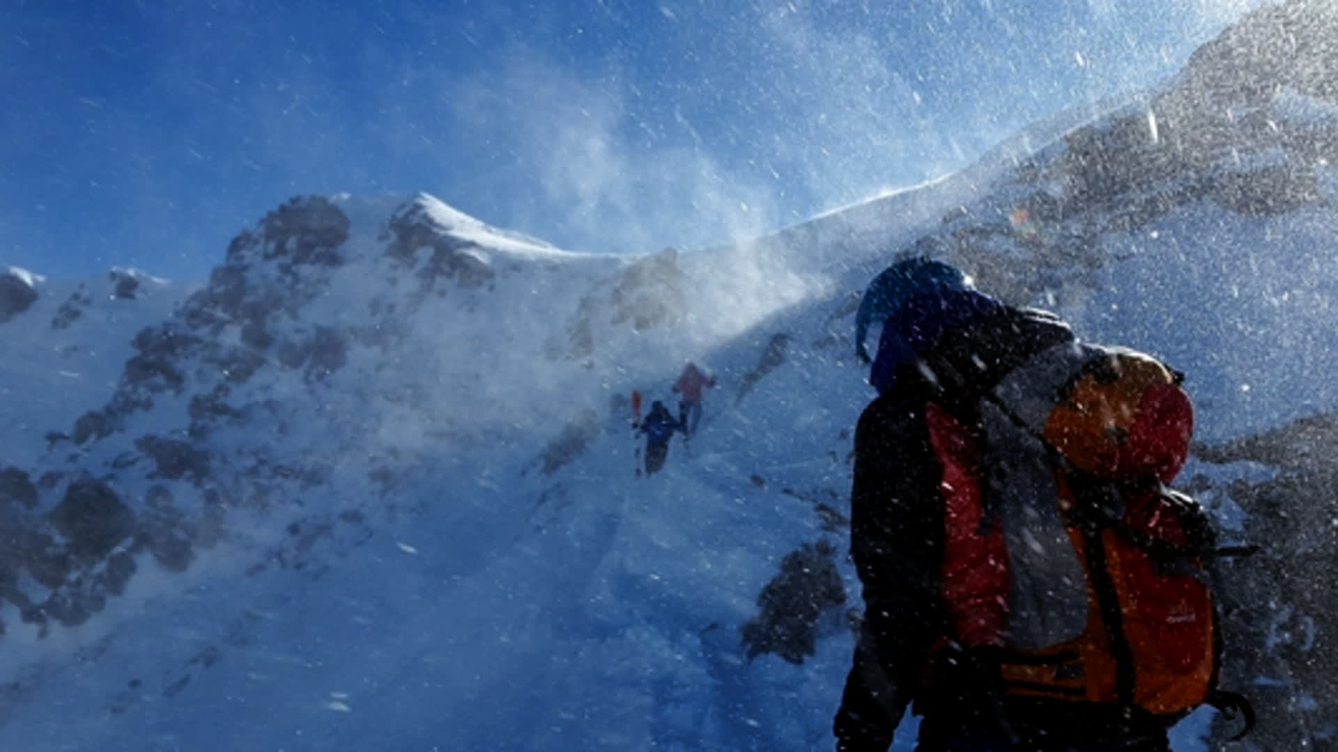 应用 LUT 后预览