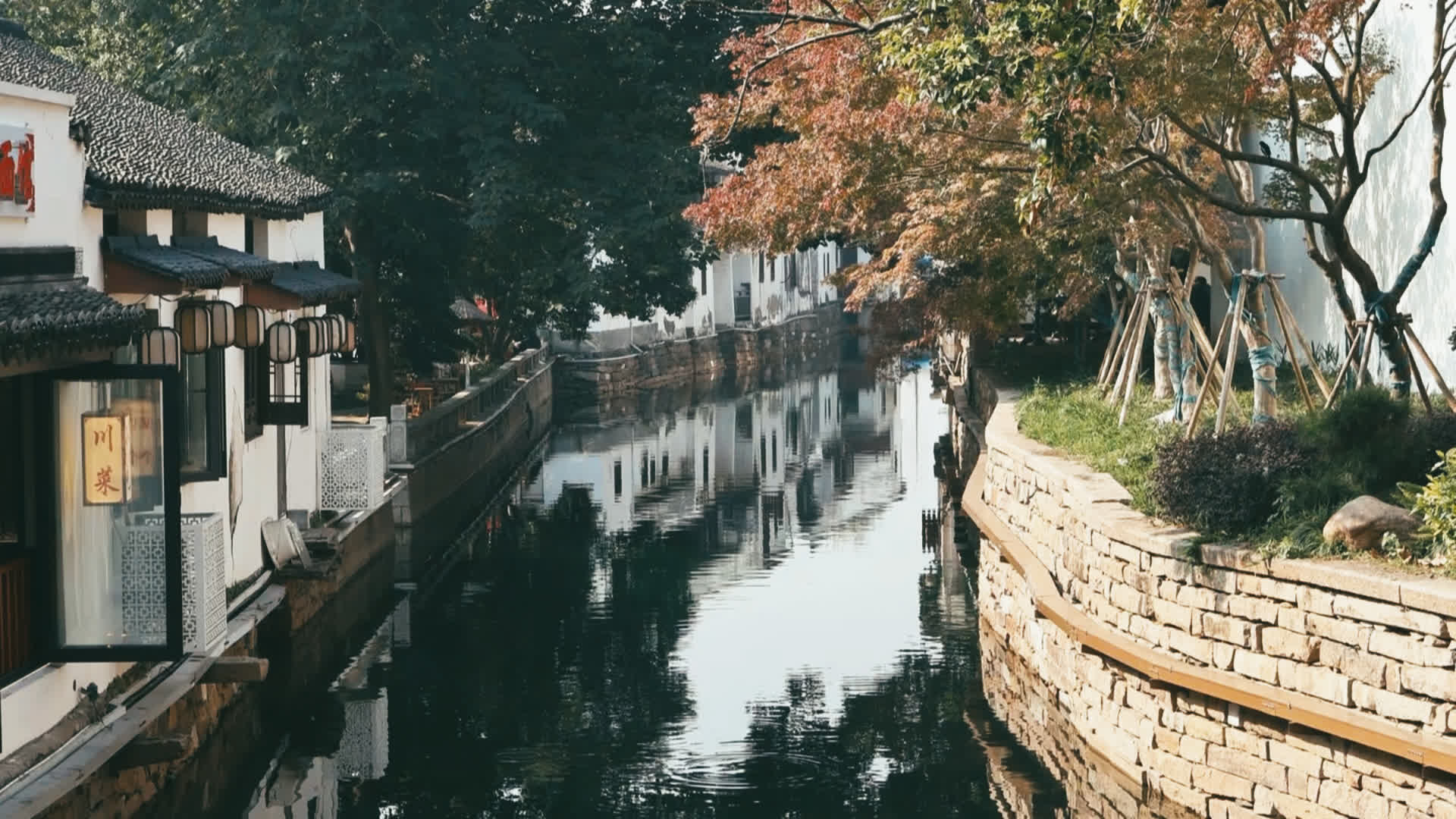 应用 LUT 后预览