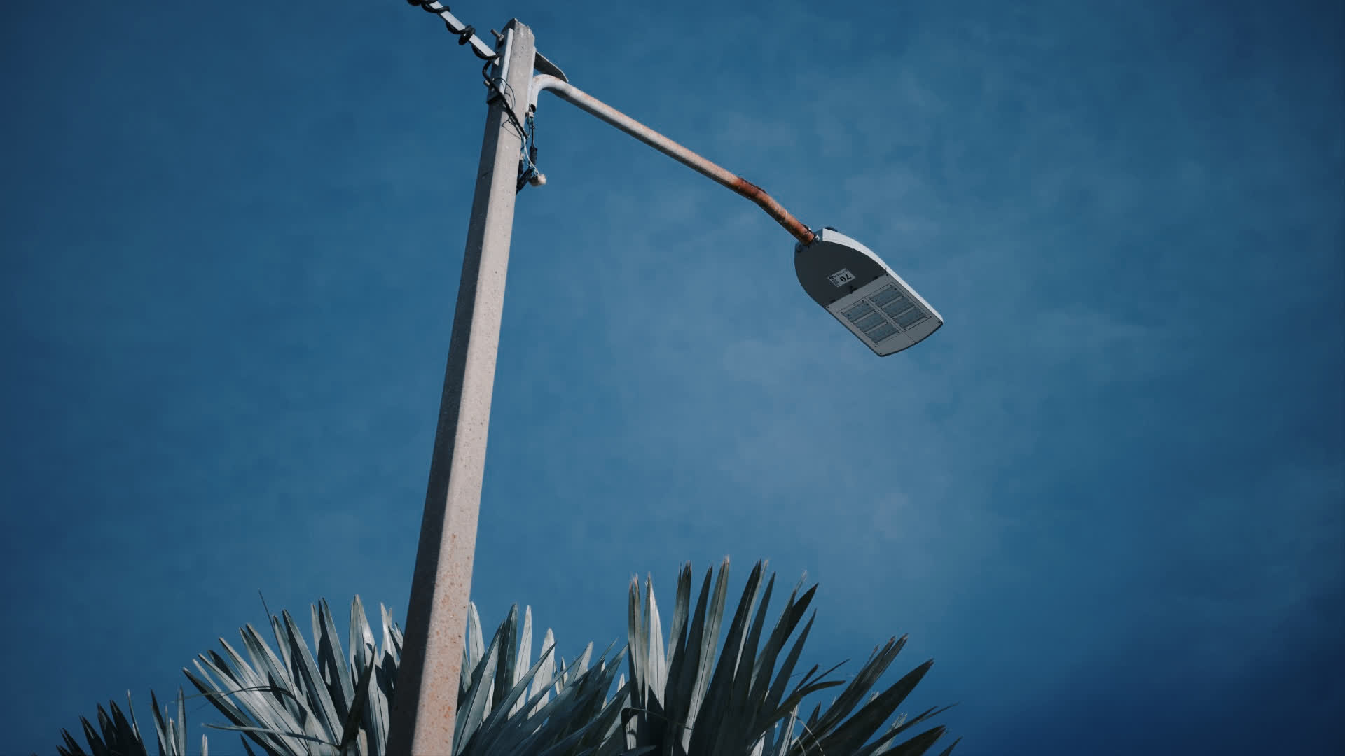 应用 LUT 后预览