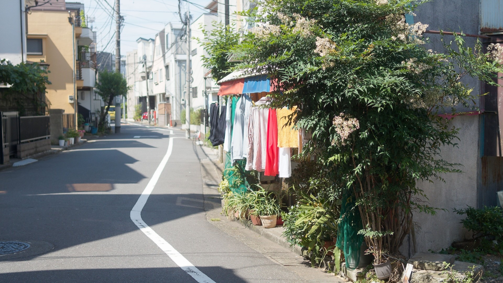 原始预览