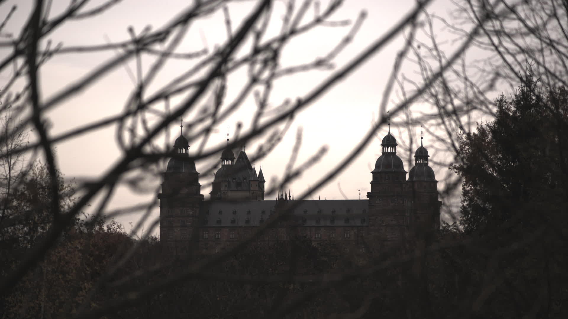 应用 LUT 后预览