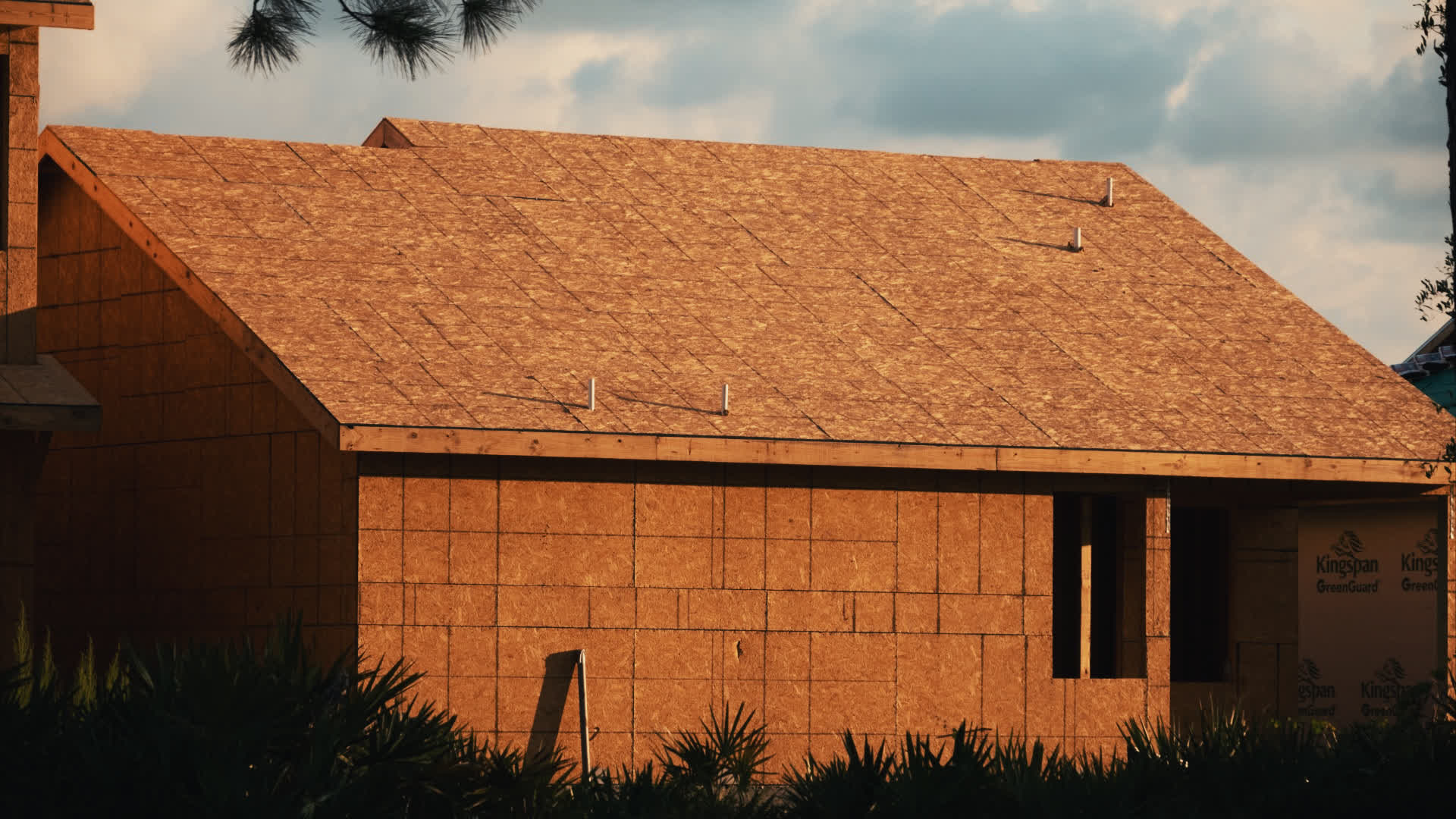 应用 LUT 后预览