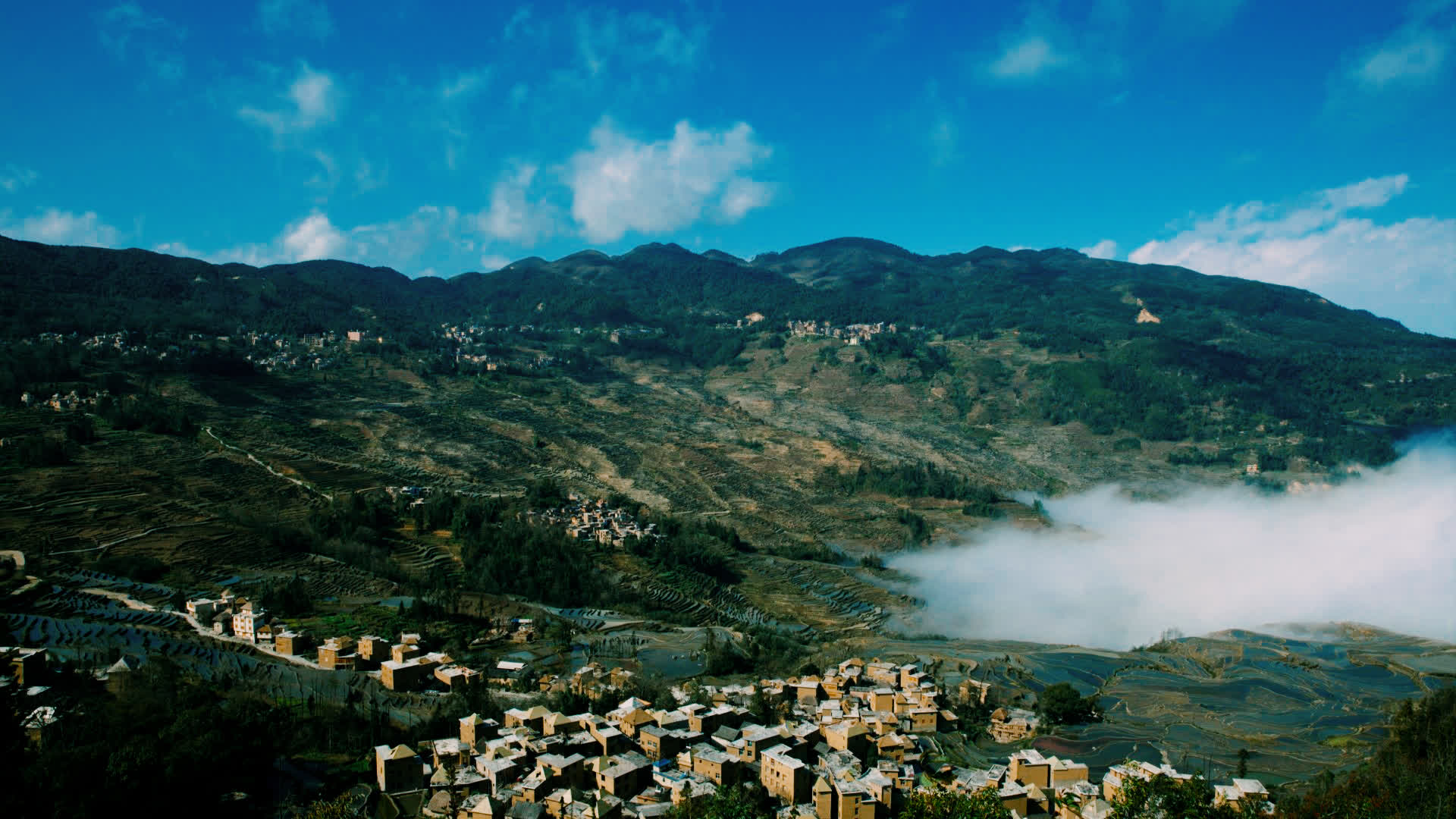 应用 LUT 后预览