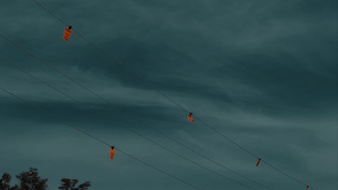 去色绿色恐怖片