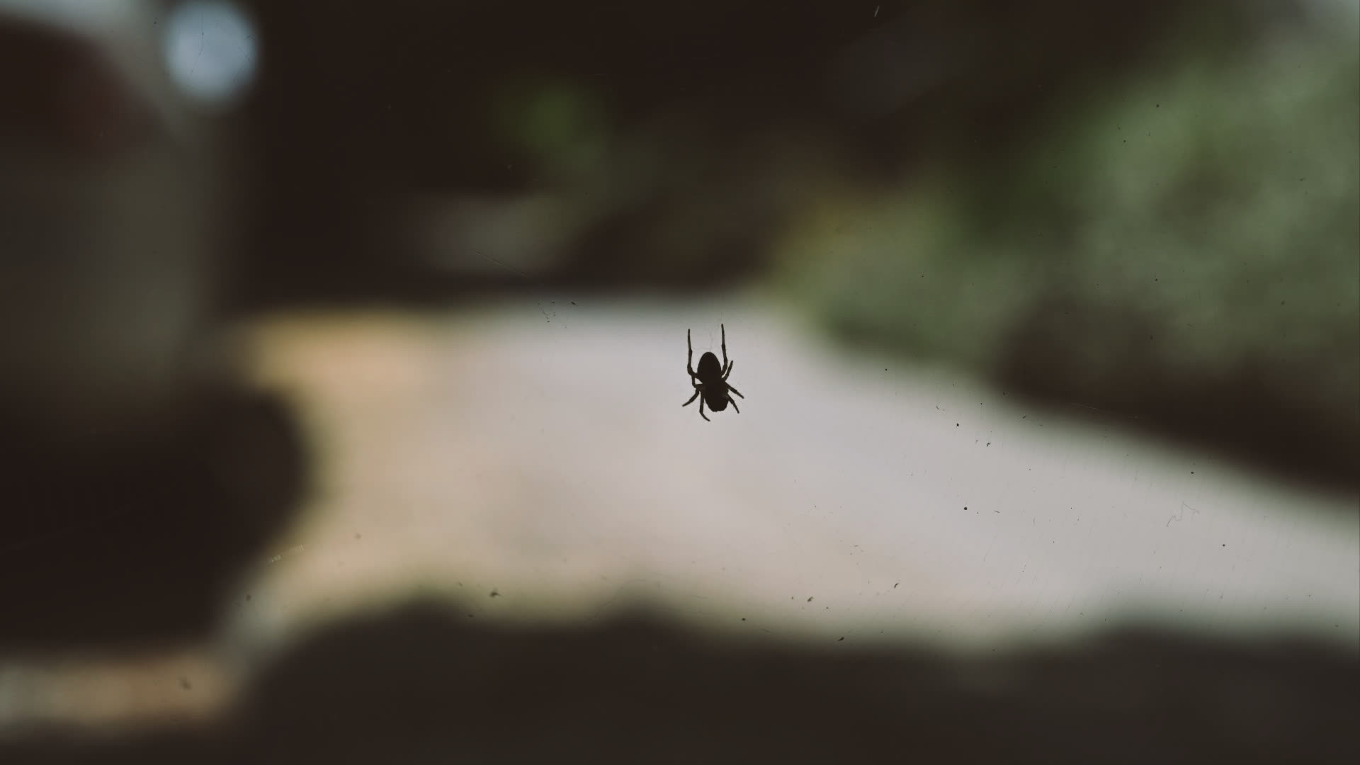 应用 LUT 后预览