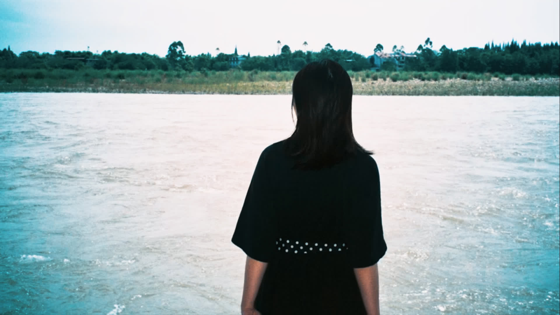 应用 LUT 后预览