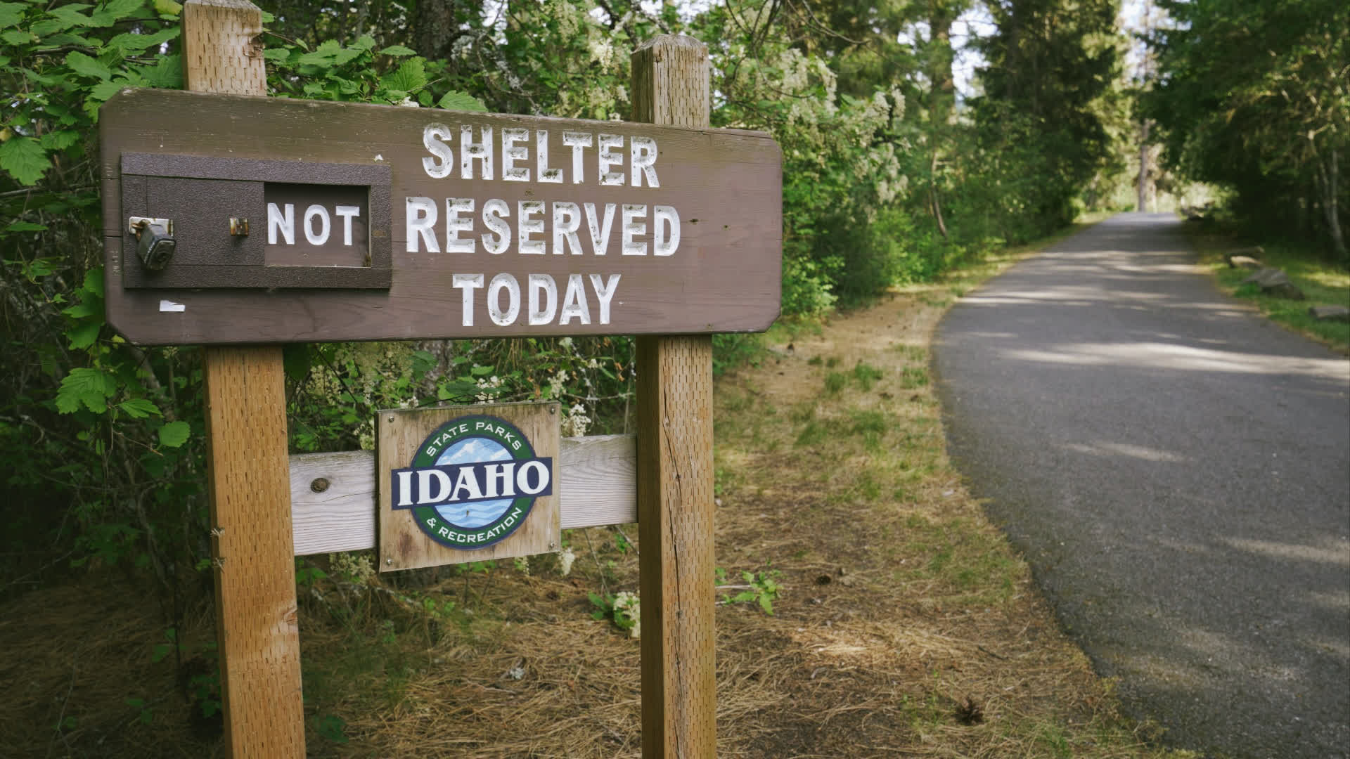 应用 LUT 后预览