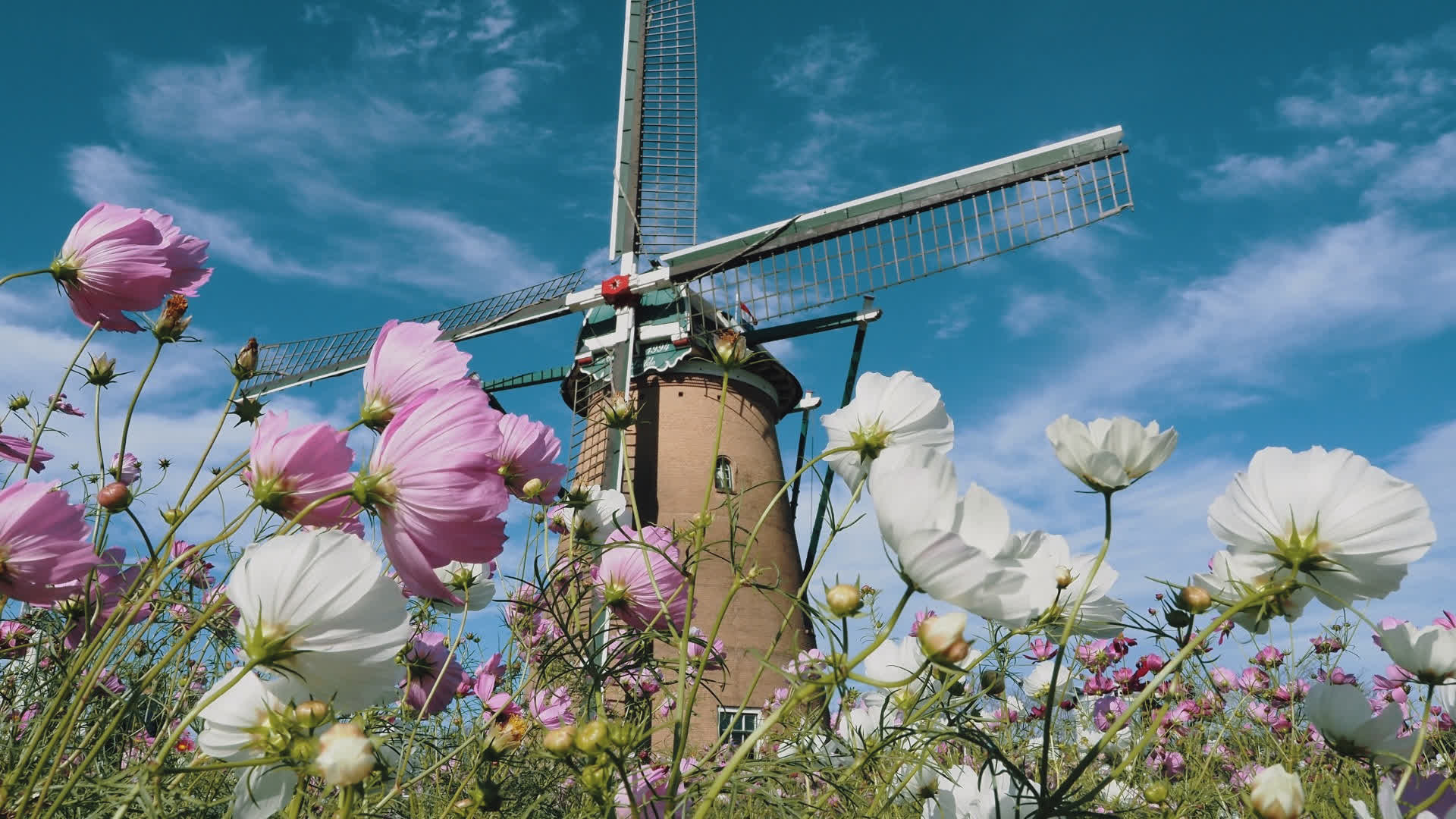 应用 LUT 后预览