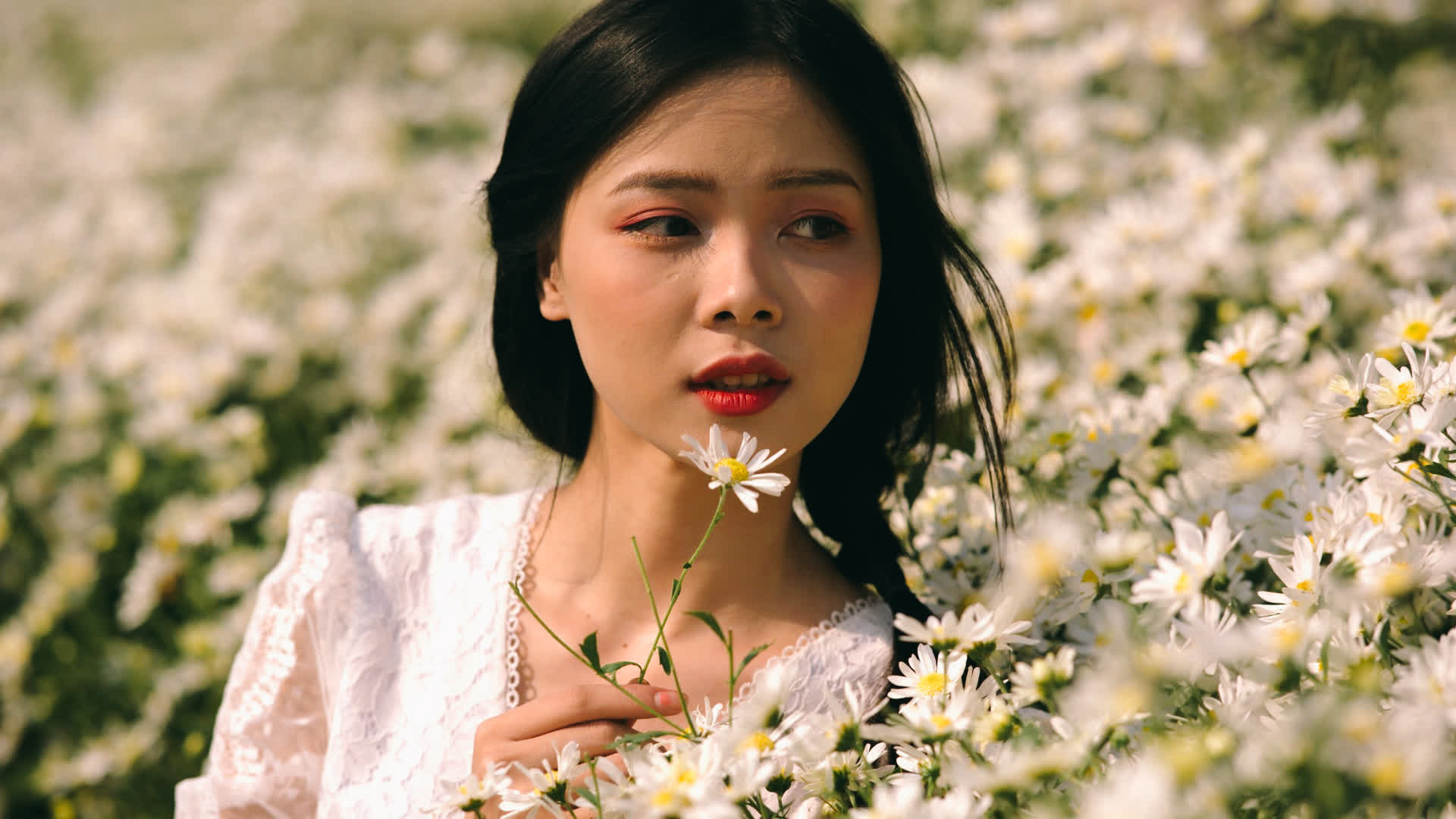 应用 LUT 后预览