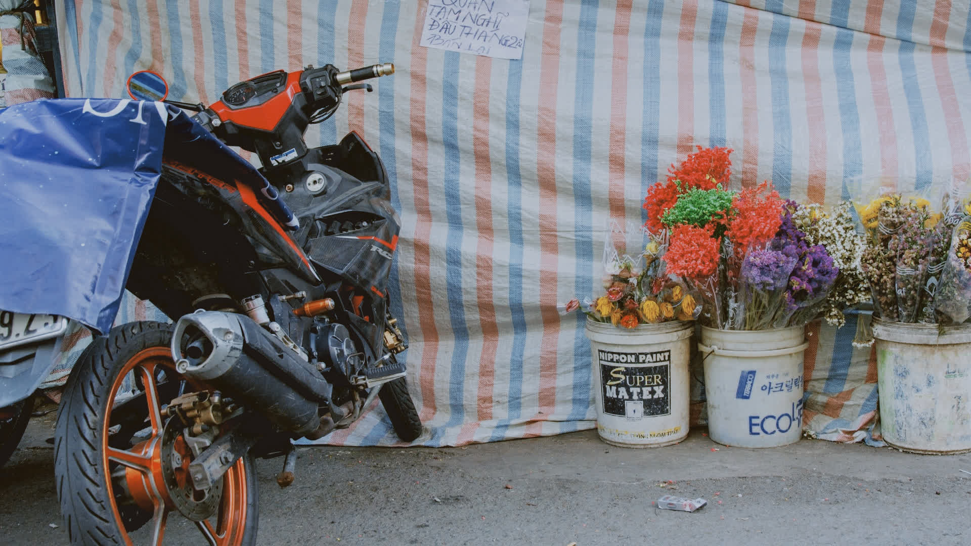 应用 LUT 后预览