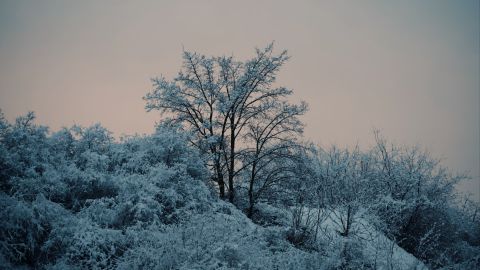 著名的电影外观