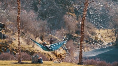 鲜艳和迷幻 完美的旅行电影 不要使用100％