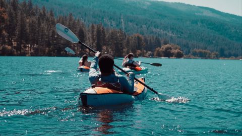 疯狂的双色调 不真实但很酷