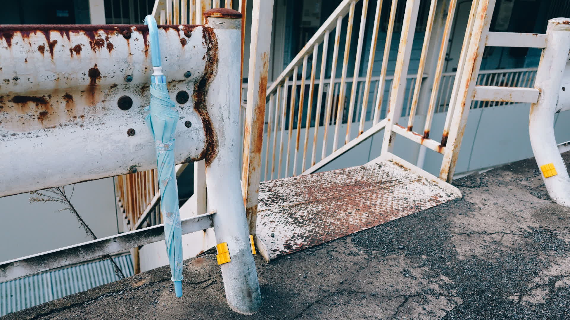 应用 LUT 后预览