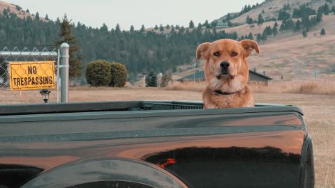 温暖的橙色沙漠