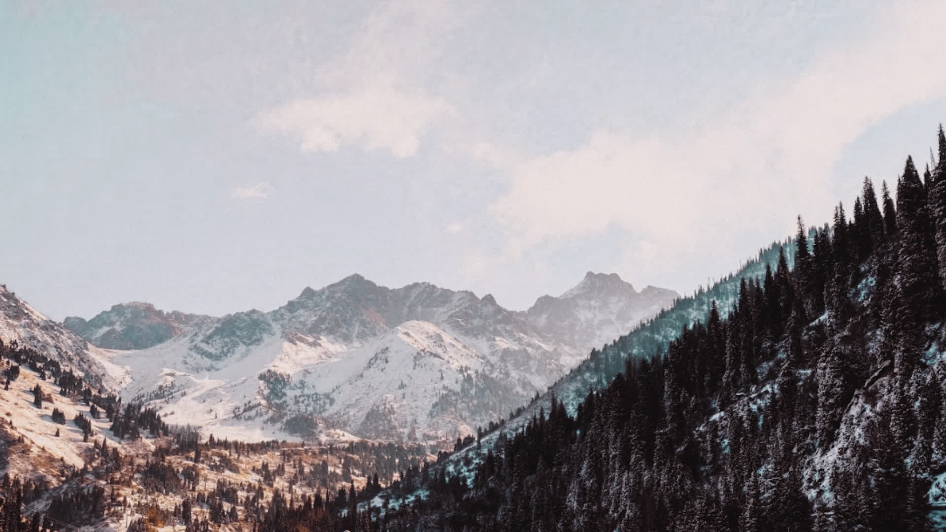 应用 LUT 后预览