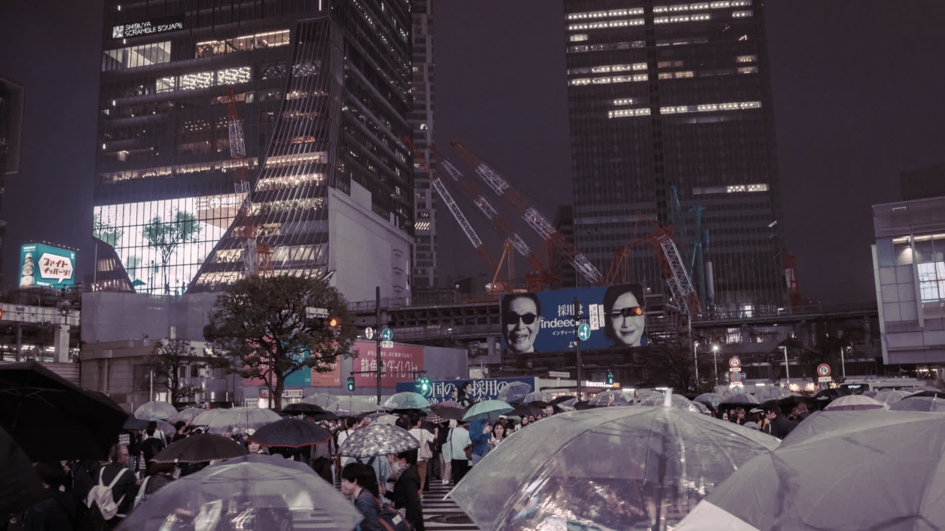 应用 LUT 后预览