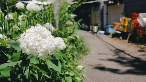 柯达 Portra 160 NC 3 +