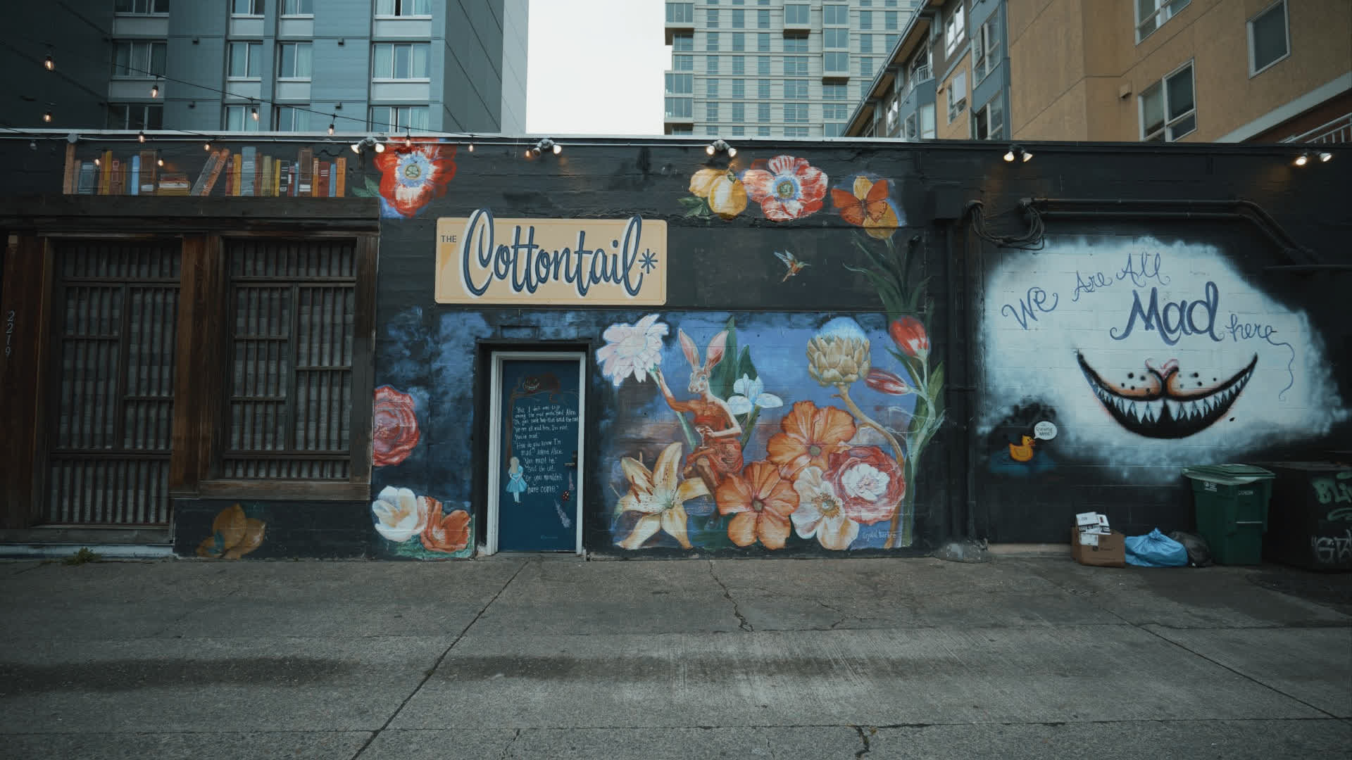 应用 LUT 后预览