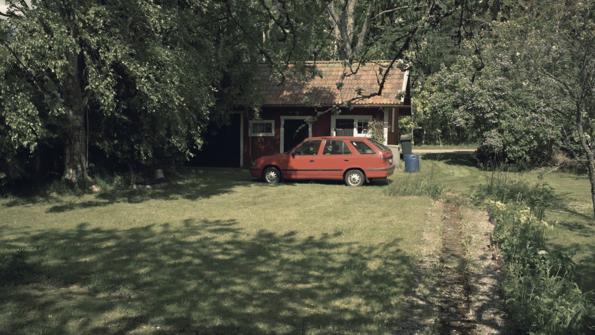 应用 LUT 后预览