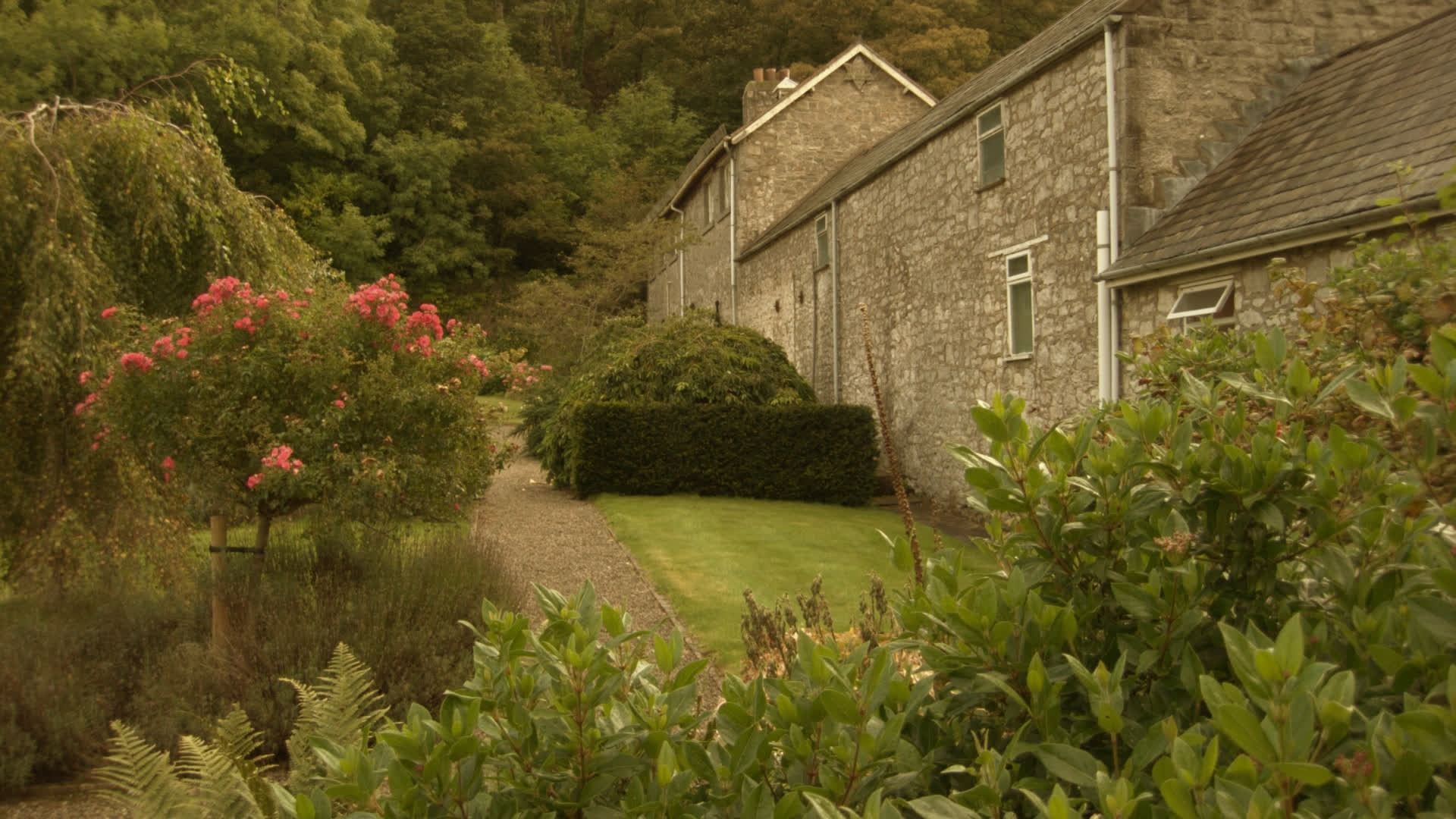 应用 LUT 后预览