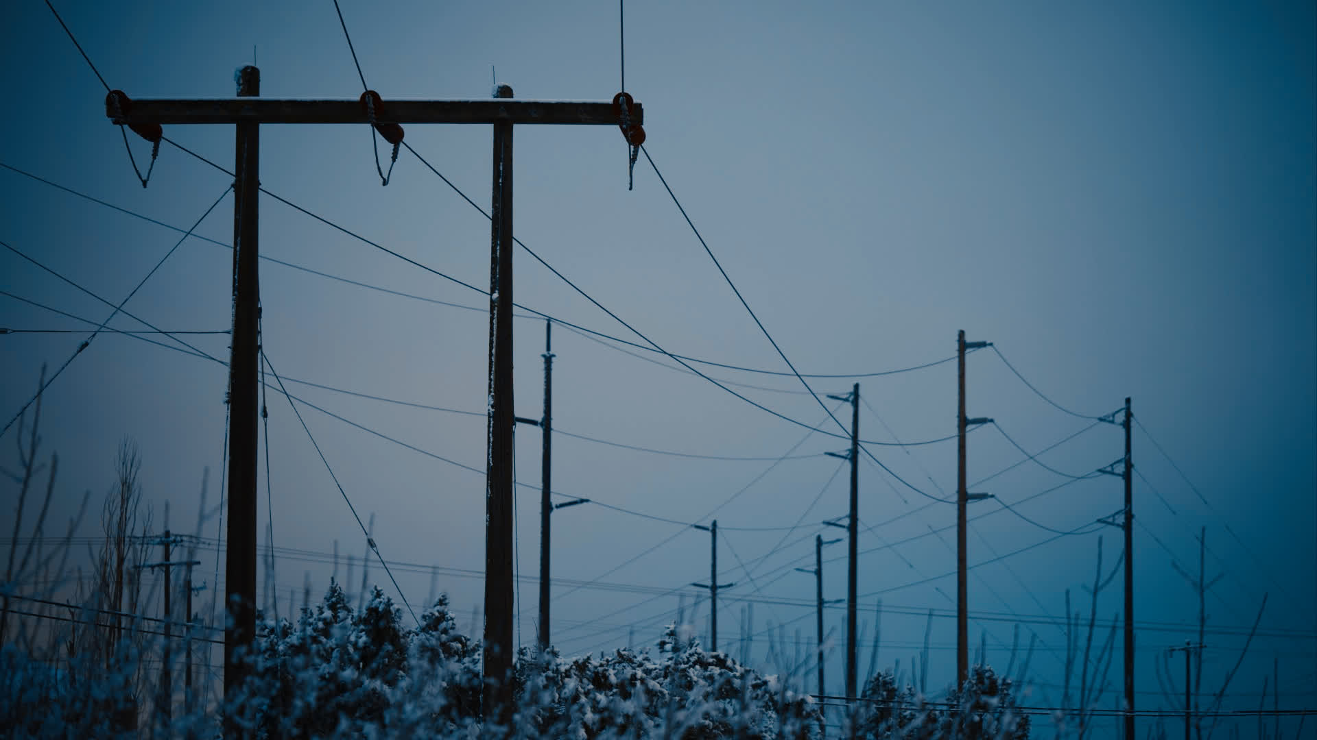 应用 LUT 后预览